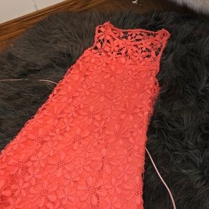bodycon lace dress